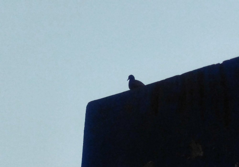 Photograph by Vasu Naik