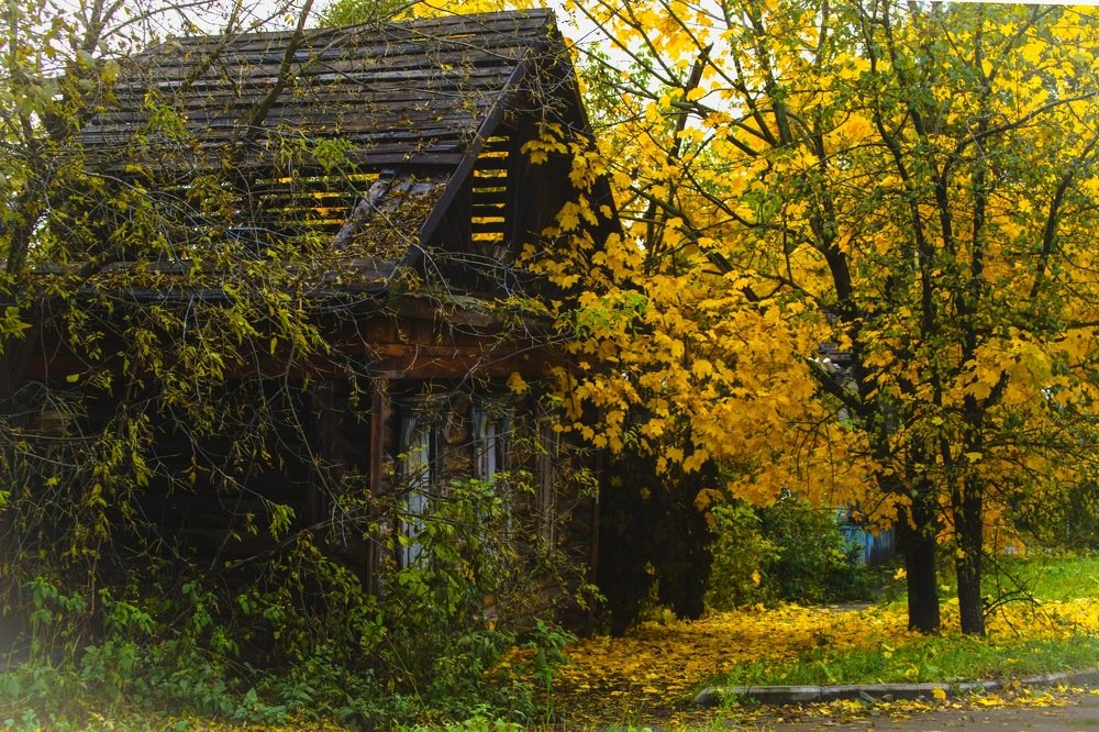 Photograph by Ксения Черных