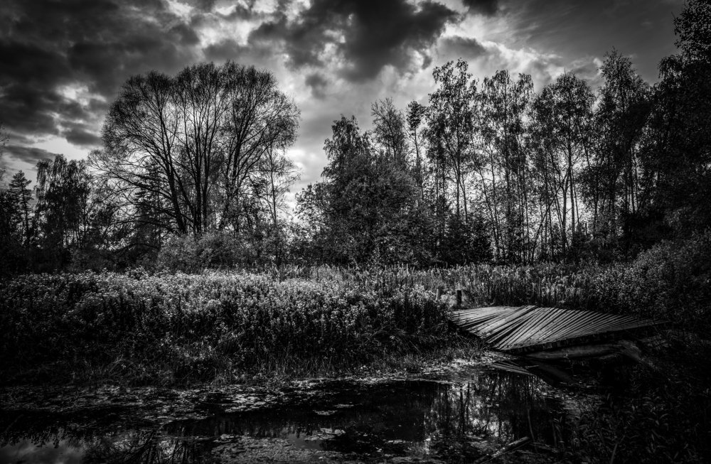 Photograph by Дмитрий Новак