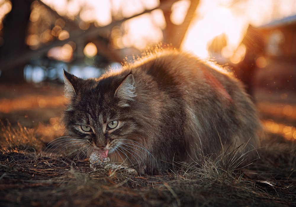 Photograph by Irina Demidova