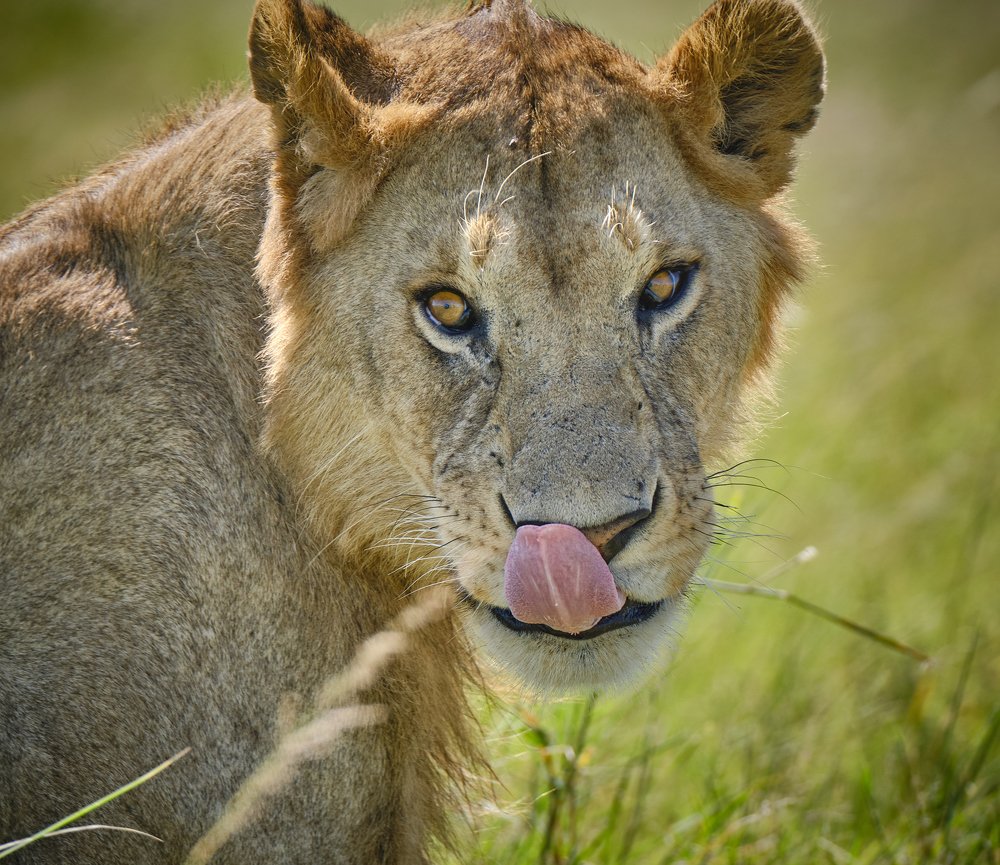 Photograph by Семен Шустер