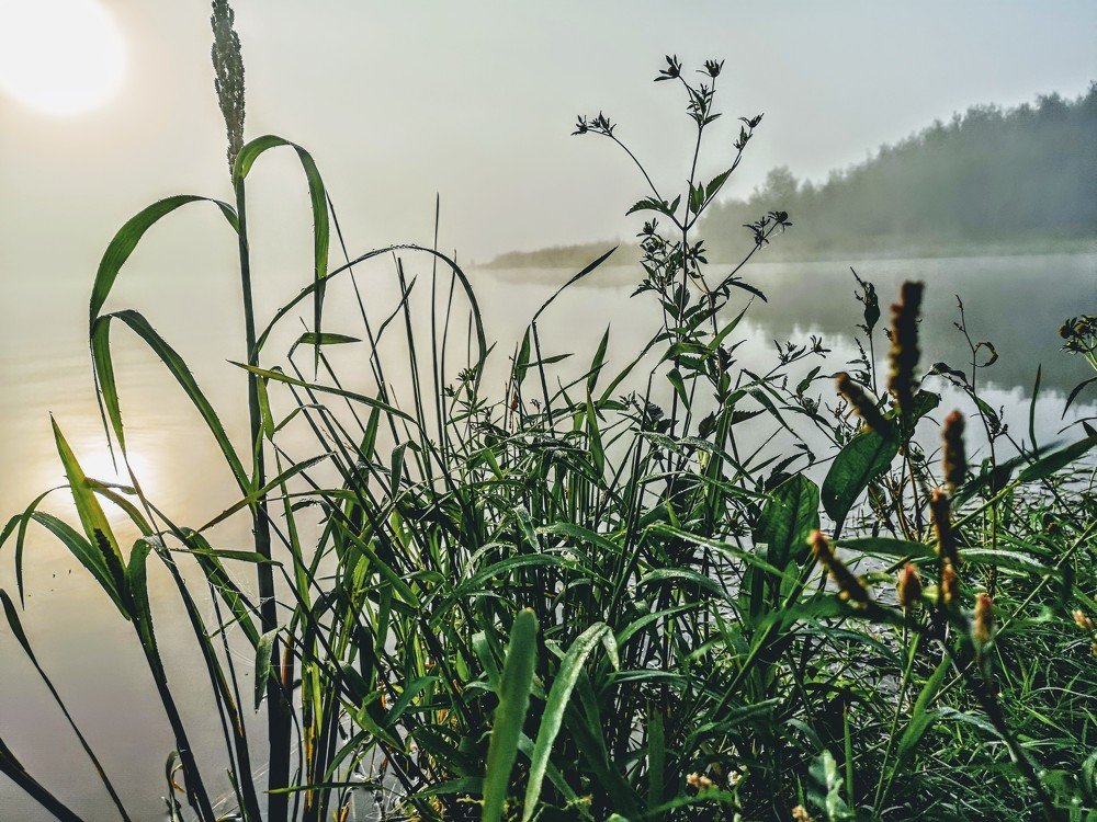 Photograph by 