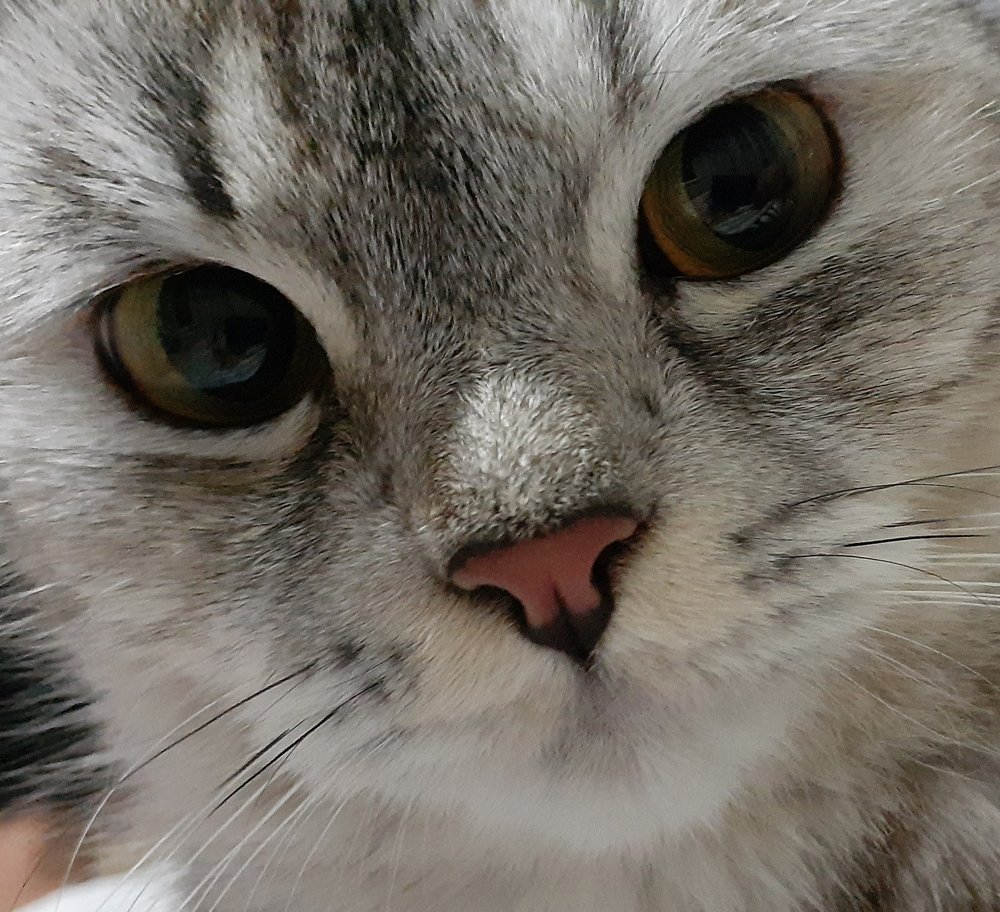 Photograph by Dilfuza Rasulova