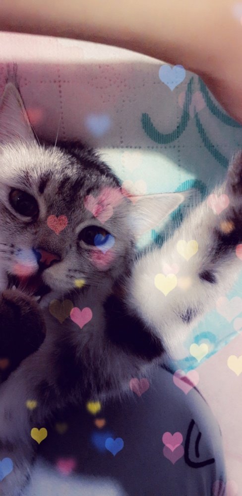 Photograph by Dilfuza Rasulova