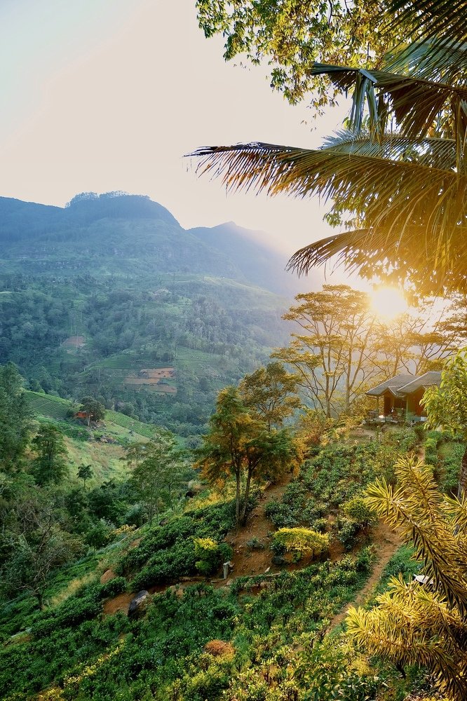 Photograph by Аида Фай