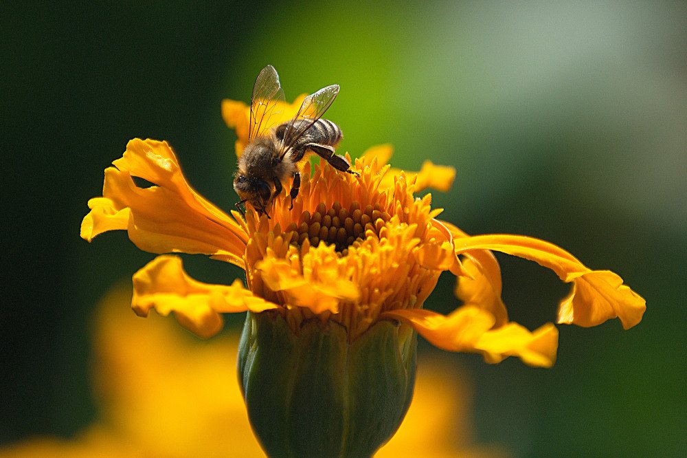 Photograph by Yroslava Veretina