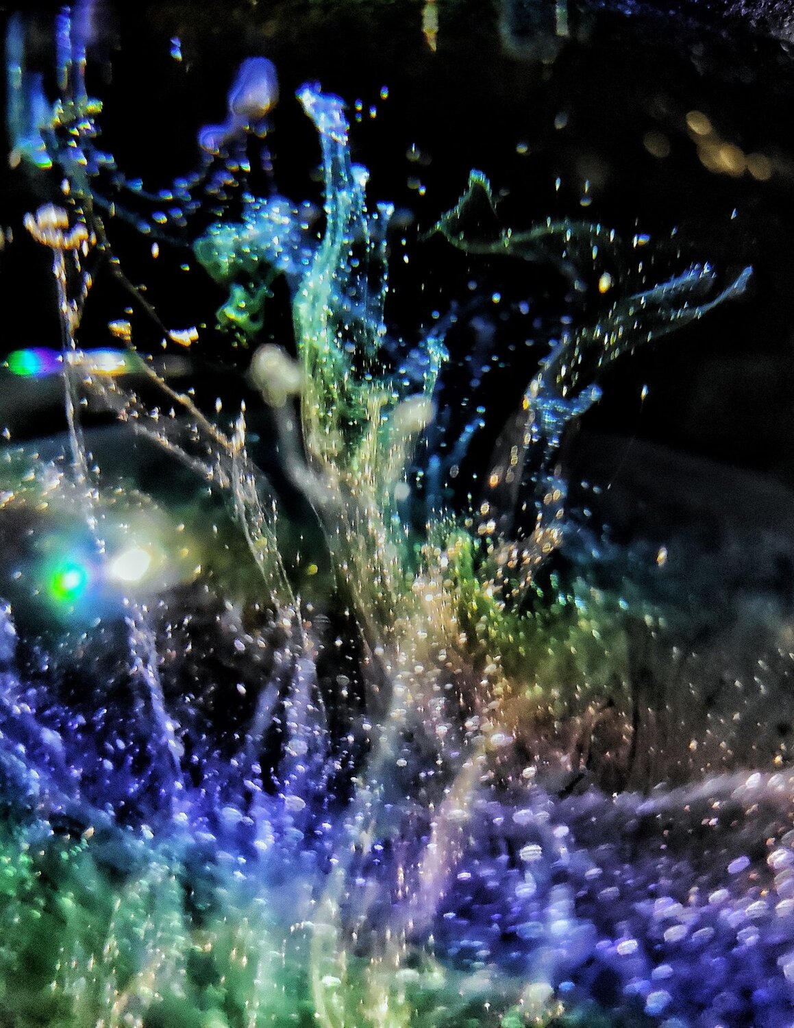 Photo #4439153