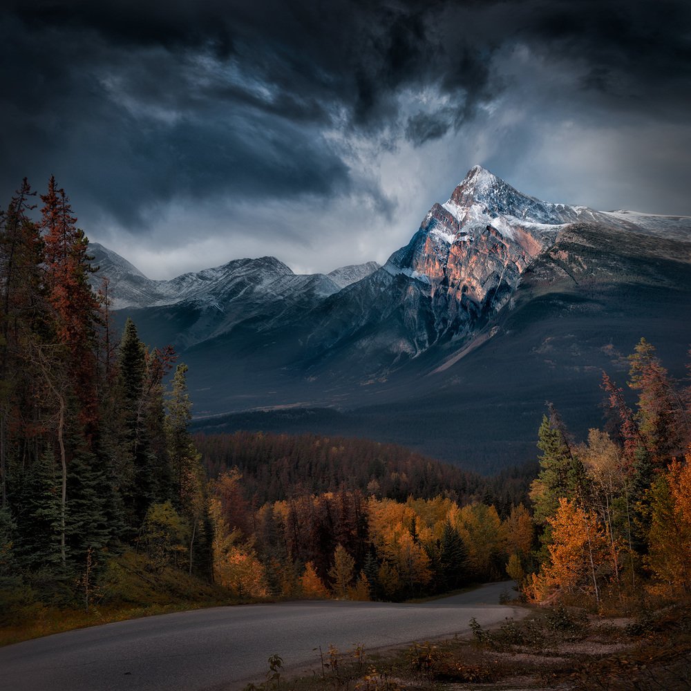 Alberta, Canada, 2019