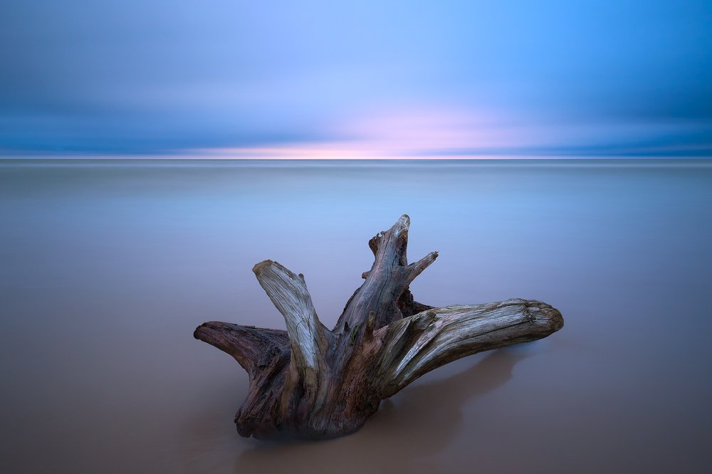 Фотография автора Adrian Misiak