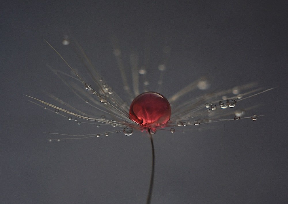 Photograph by @bersenika