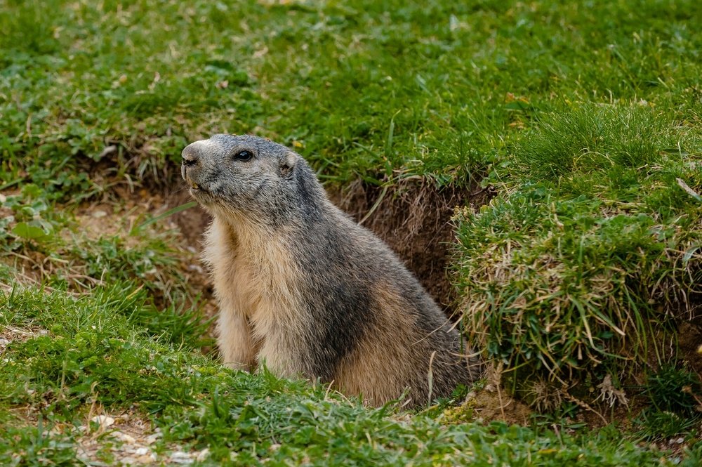 Photograph by Gabriella Bergna