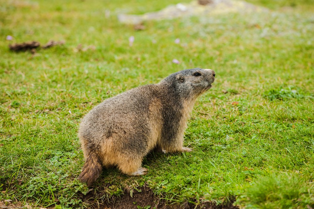 Photograph by Gabriella Bergna