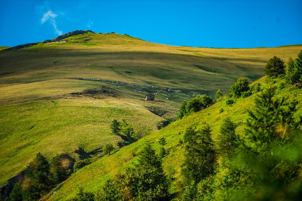 Photograph by Gabriella Bergna