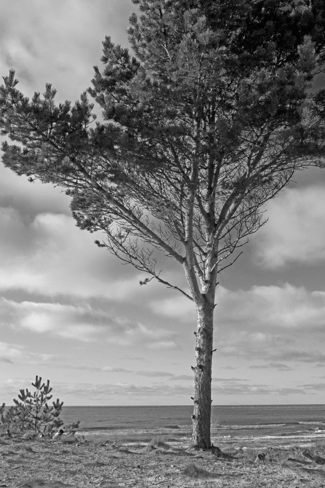 Photograph by Arvydas Kantautas