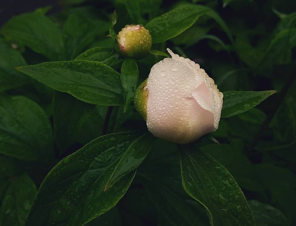 Photograph by Юлия Авсеенко