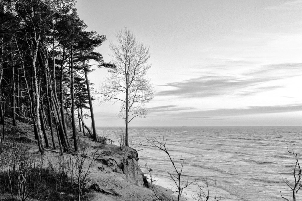 Photograph by Arvydas Kantautas