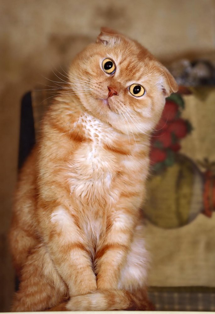 Photograph by Татьяна Бравая