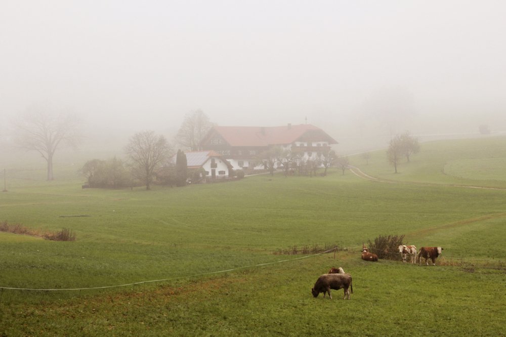 Photograph by Наталья Ростовская
