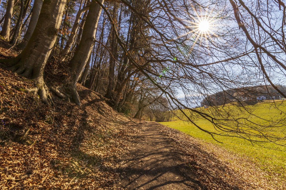 Photograph by Наталья Ростовская