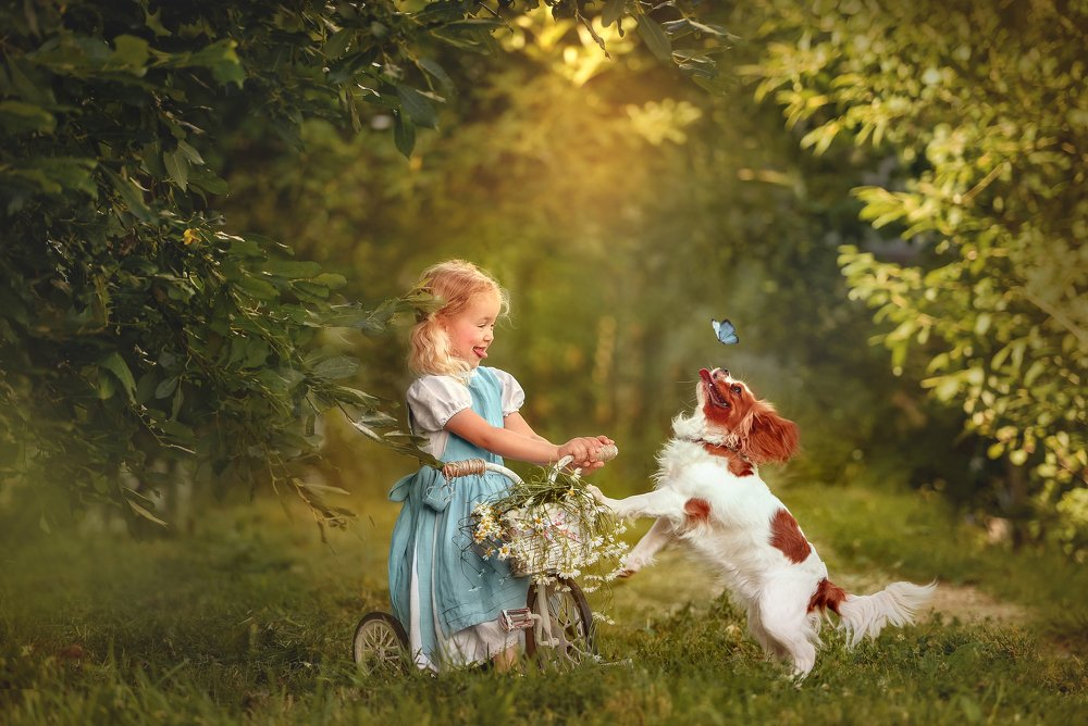 Фотография автора Анна Гис