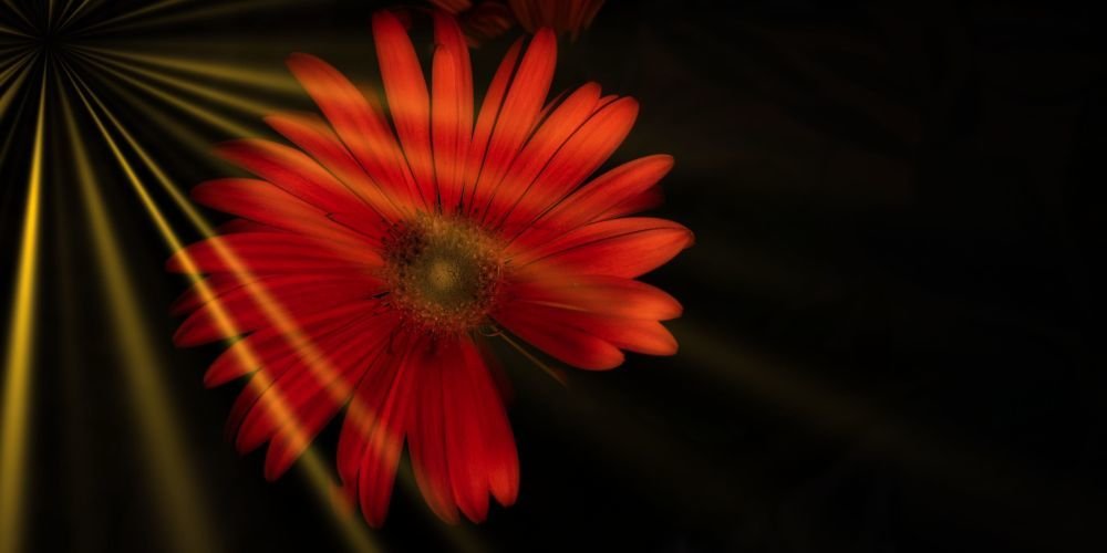 Photograph by Andrea Gal