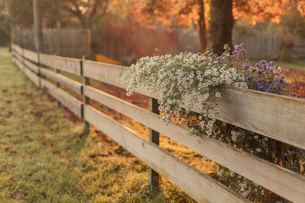 Photograph by Наталья Ростовская