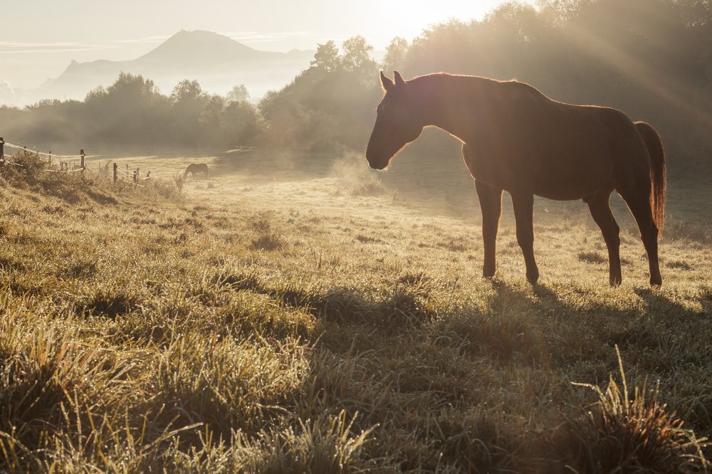 Photograph by Наталья Ростовская