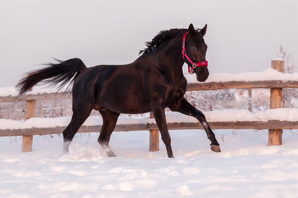Photograph by Анастасия Петрова