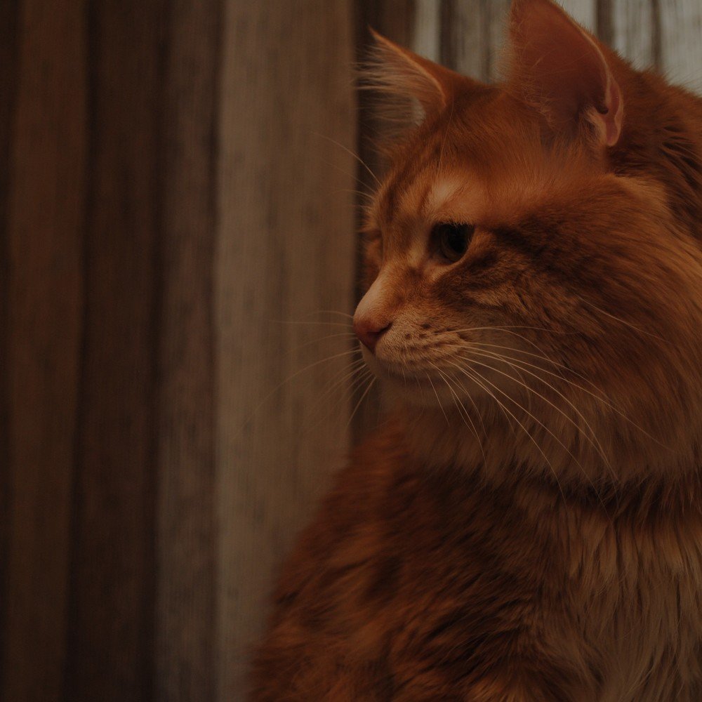 Психологический портретп