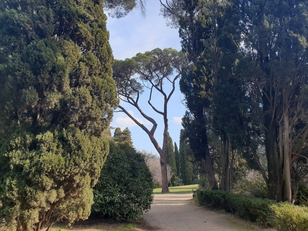 Photograph by mikhail goryachev