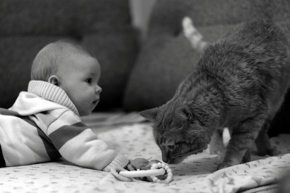 Photograph by Светлана Шурбя