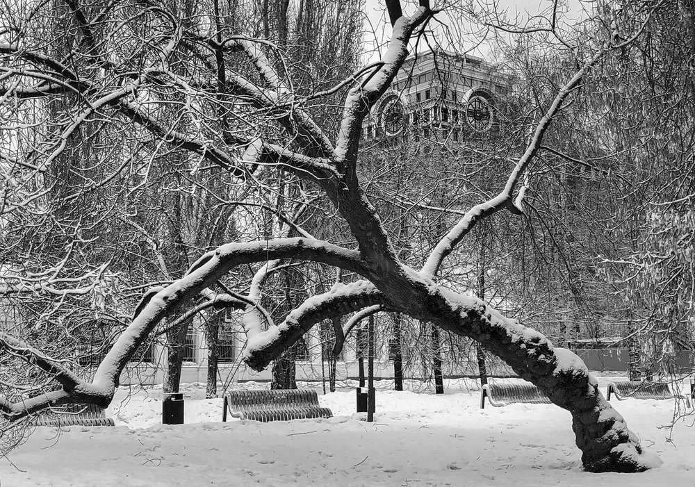 Photograph by Николай Наумов