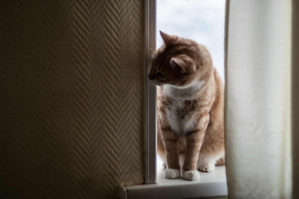 Photograph by Павел Милкин