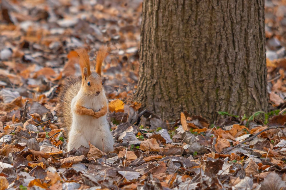 Photograph by Дмитрий Чудинин