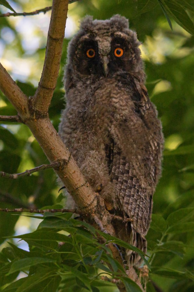 Photograph by Дмитрий Чудинин