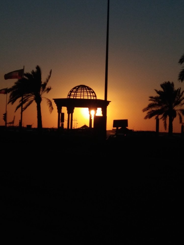 Photo #4439924
