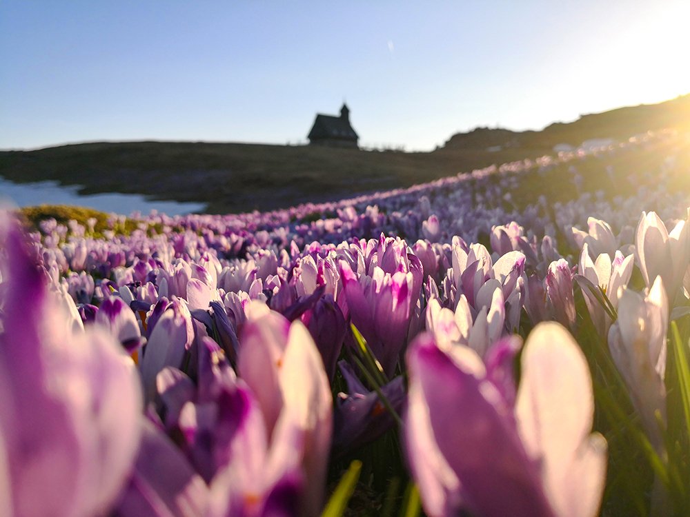 Sunset on Velika Planina