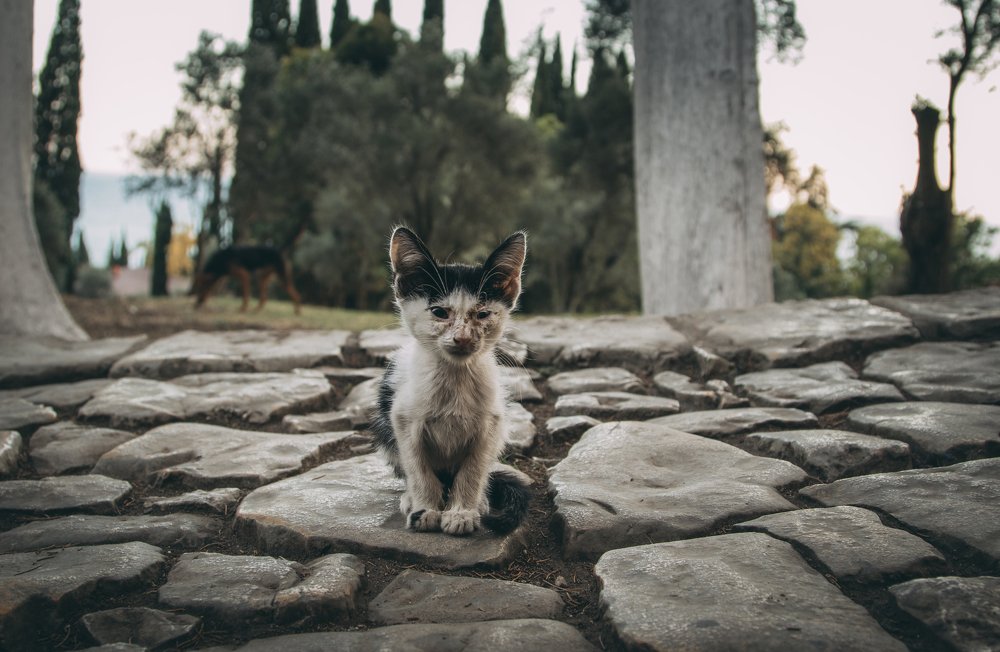 Photograph by Васенин Павел