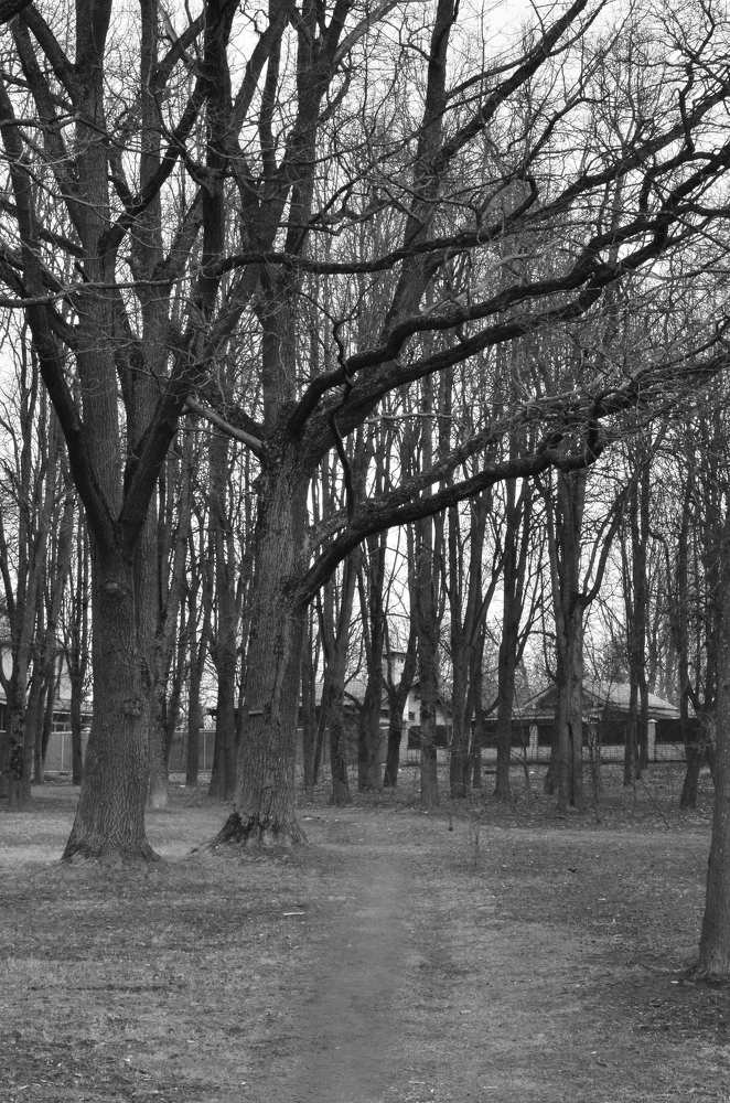 Photograph by Чулков Иван