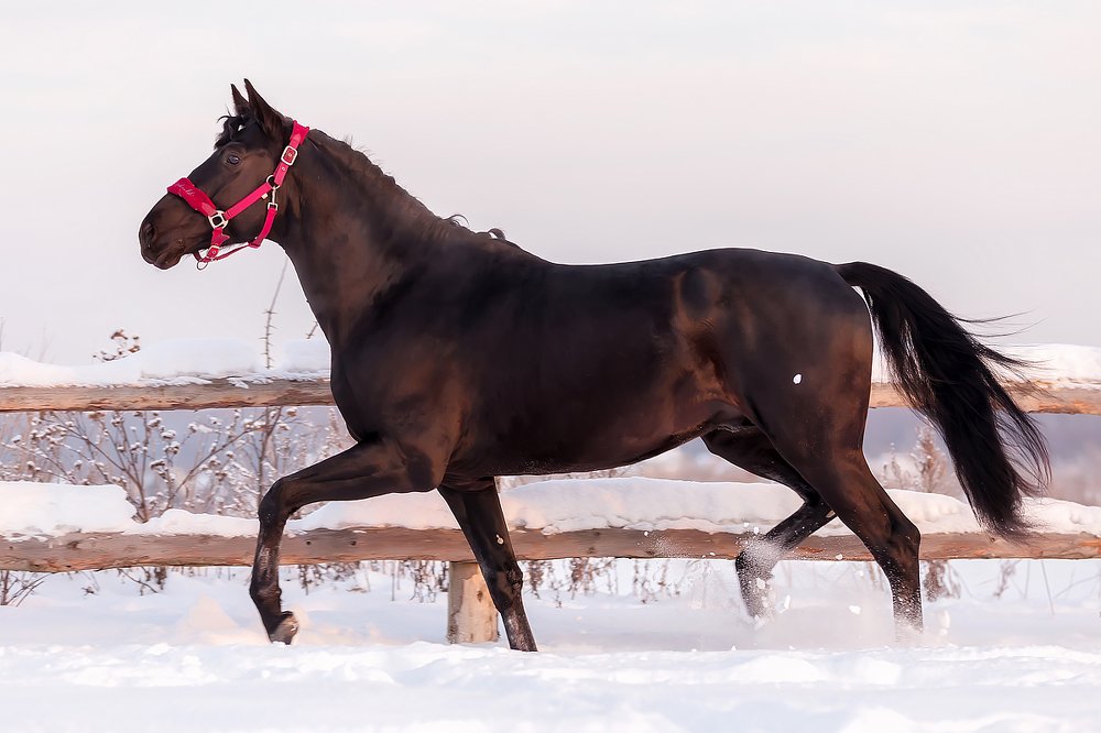 Photograph by Анастасия Петрова