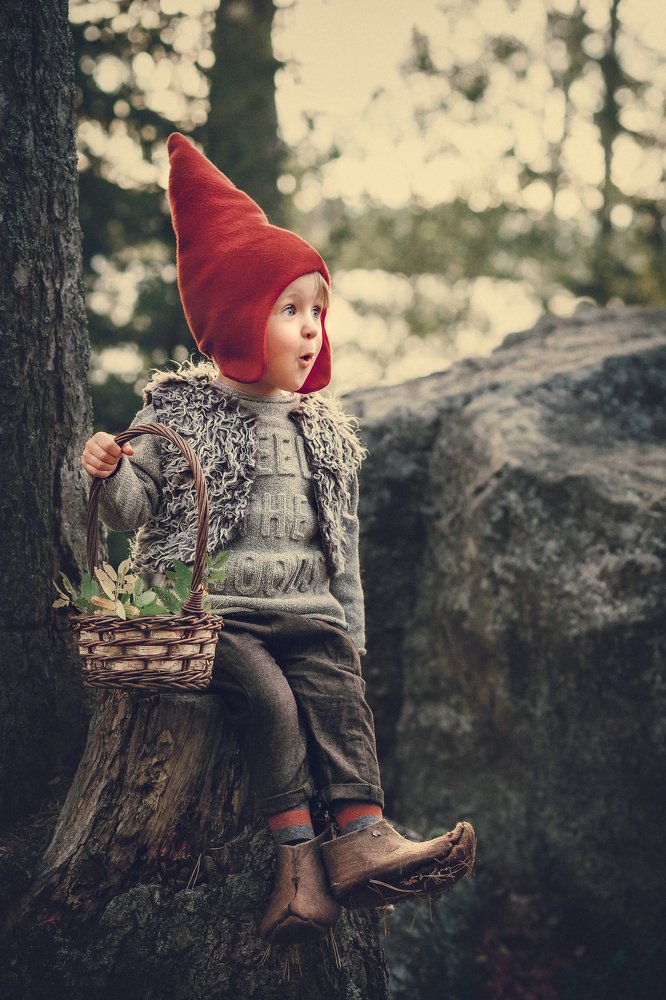 Лесной гном.