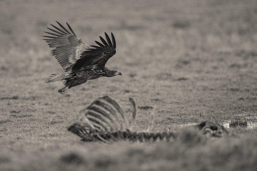 Photograph by Ernestas Balcikonis