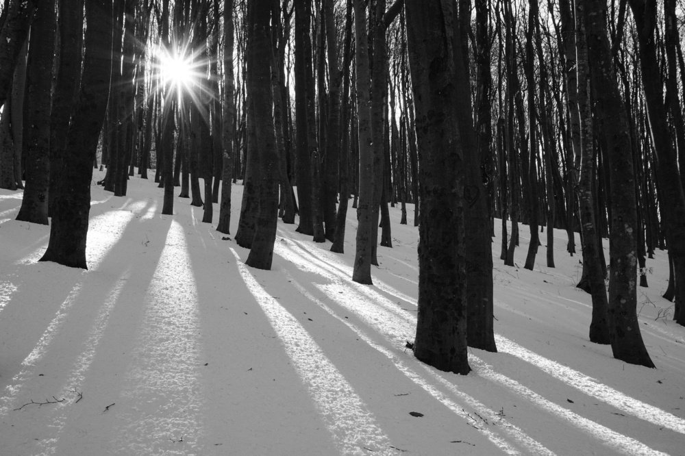 Winter sunlight