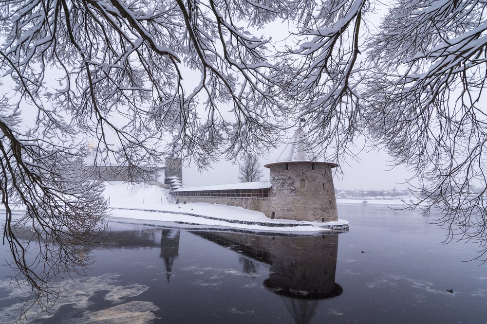 Фотография автора Майя Афзаал