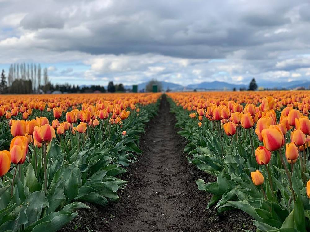 Photograph by Nikolay Gorbatenko