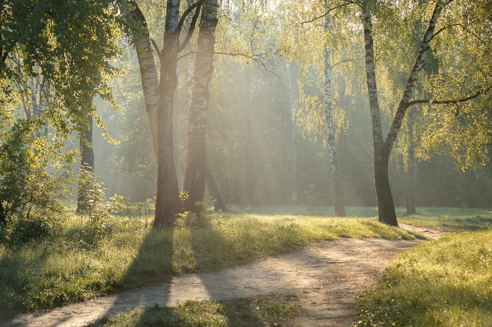 Photograph by Юлия Лаптева