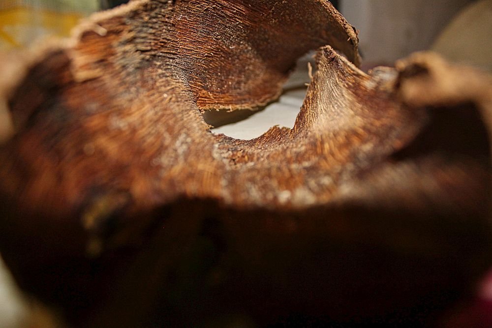 Photograph by Sandor Zoltan Gal