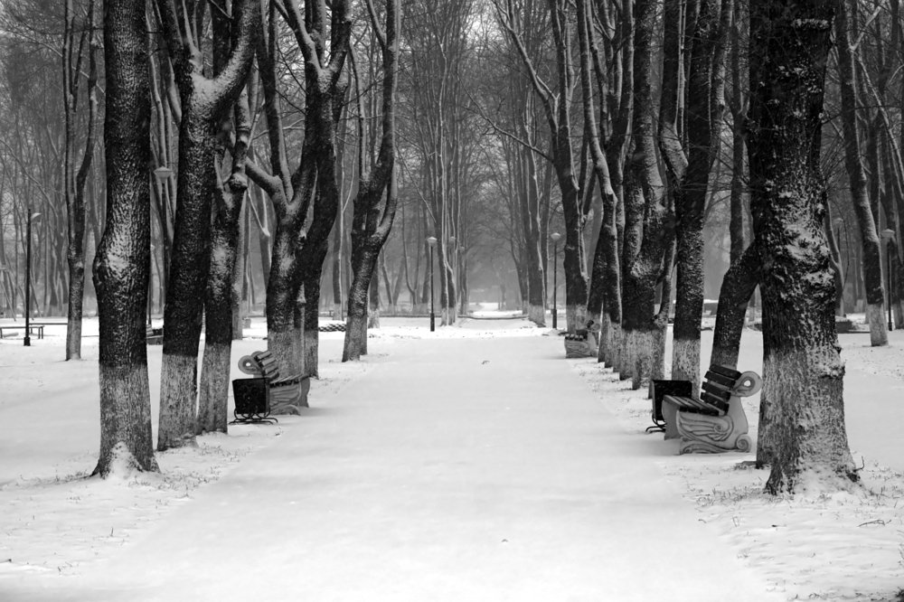 Старый парк в маленьком городке