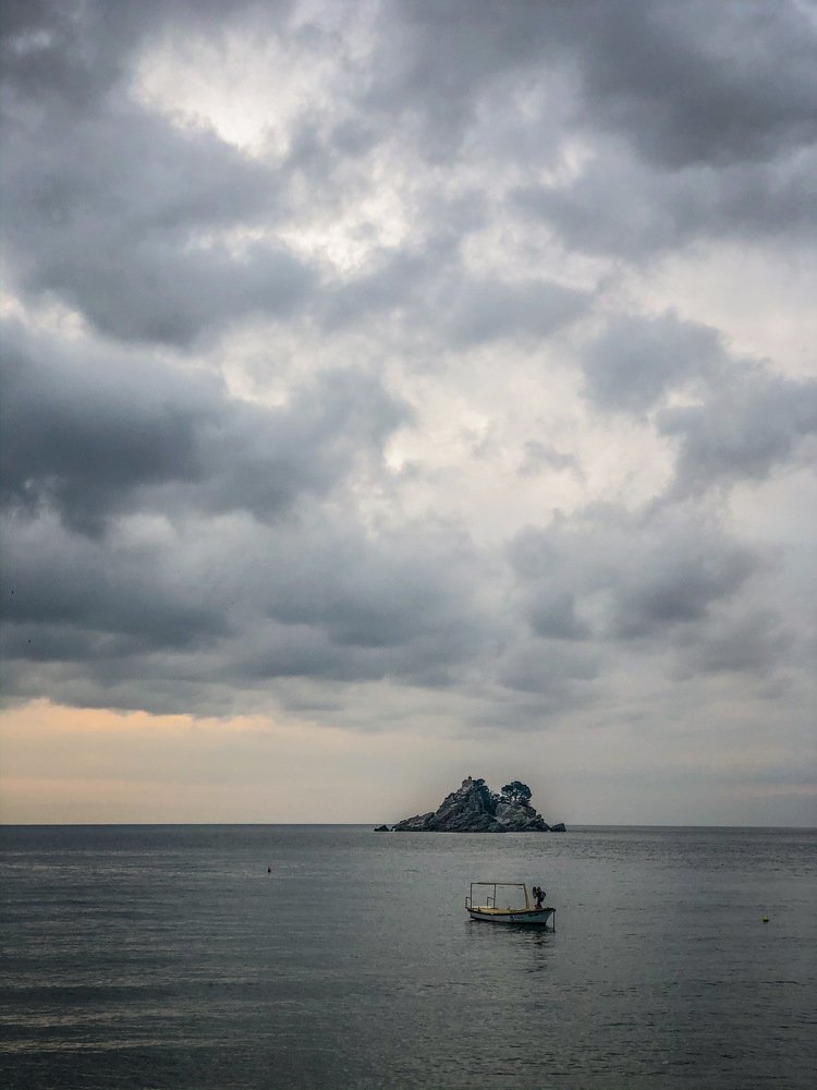 Winter gray landscape