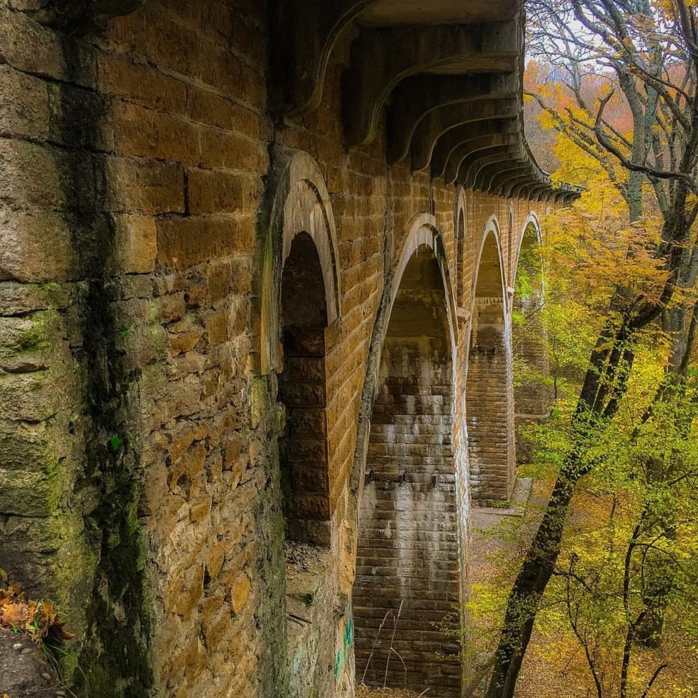 Photograph by Ольга Верхотурова